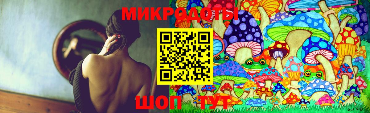 Псилоцибиновые грибы Psilocybine cubensis Смоленск
